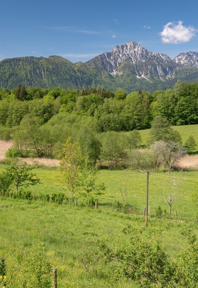 Blick vom Johannishögl über den Pidinger Bieneweg zum Hochstaufen-Massiv