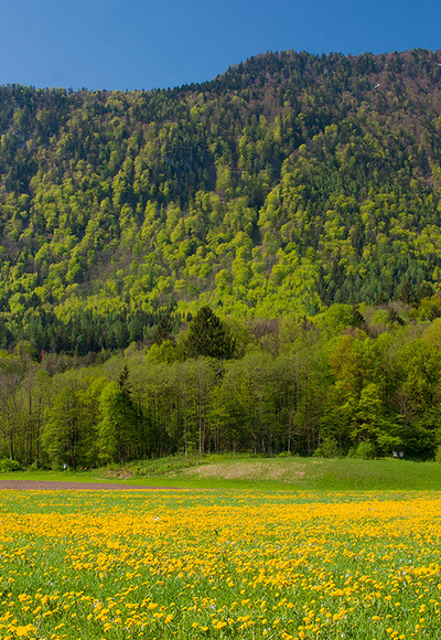 Fuderheuberg © RoHa Fotothek