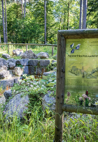Bergkurgarten Bayerisch Gmain
