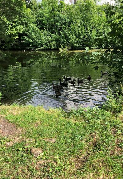 Fischteich Marzoll