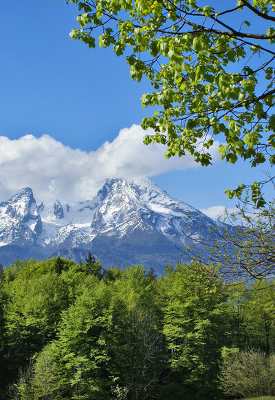 Blick vom Hochgartdörfl zum Watzmann