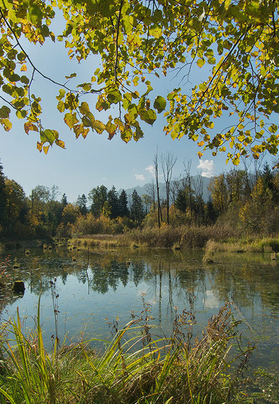 Durch die Saalachauen © RoHa Fotothek