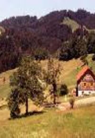 Neugschwender Alm - Allgauer Picknickplätze