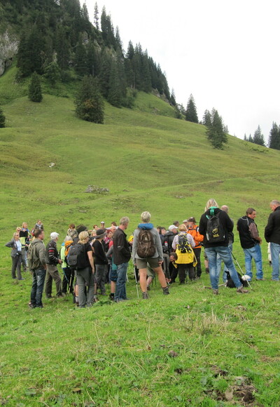 Wanderführer Edi mit der Gruppe bei der Viehscheid Infotour in Obermaiselstein