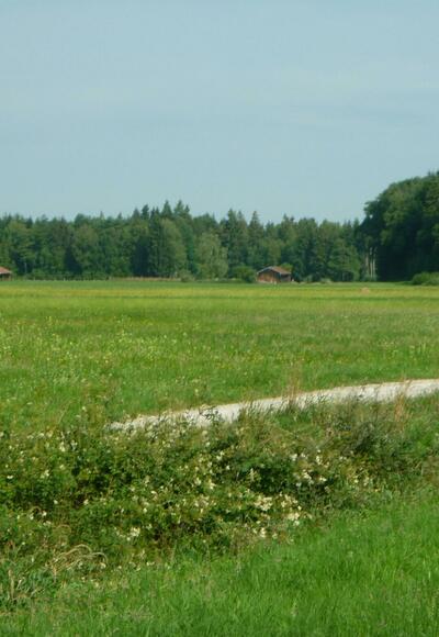 Blick ins Saaldorfer &quot;Moos&quot;