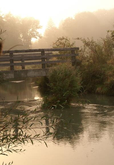 Herbststimmung am Mittergraben