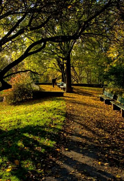Der Luitpoldpark in München im Herbst