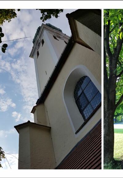 Über Stock und Stein über die Perlacher Schotterzunge
