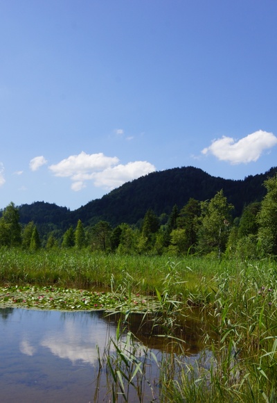Schwansee