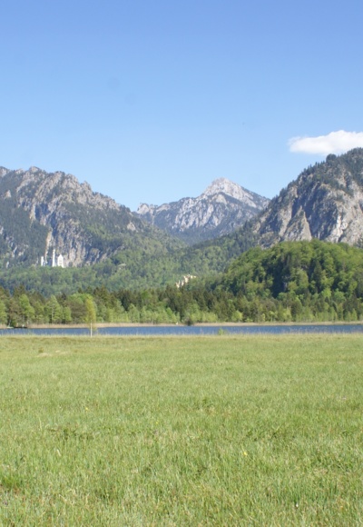 Der Schwanseepark mit Blick auf den Schwansee und Schloss Neuschwanstein
