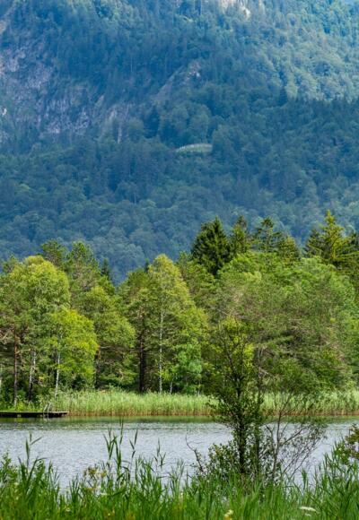 Blick auf die Königsschlöser