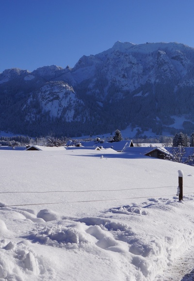 Blick Richtung Tegelberg
