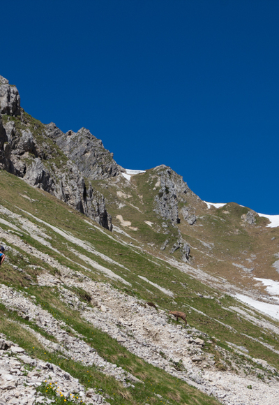 Bergtour - Hochblasse, im Roggental