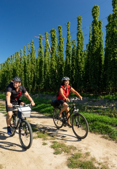 Abenstal - Hopfenland Hallertau