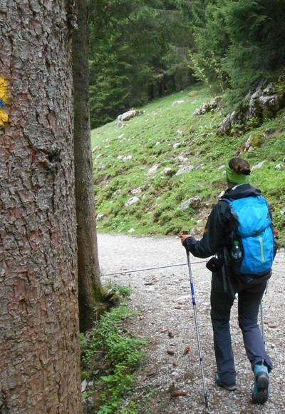 Auf dem Weg zur Riesenhütte führt auch eine SalzAlpenTour