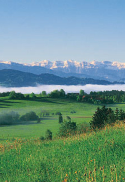 src_99044013-0.jpg