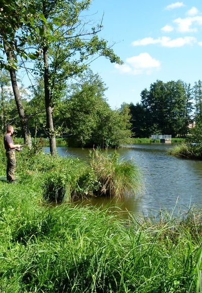 Ein wunderschöner Platz zum Angeln ist auch der Überleiter in Pfofeld- idyllisch und ruhig.