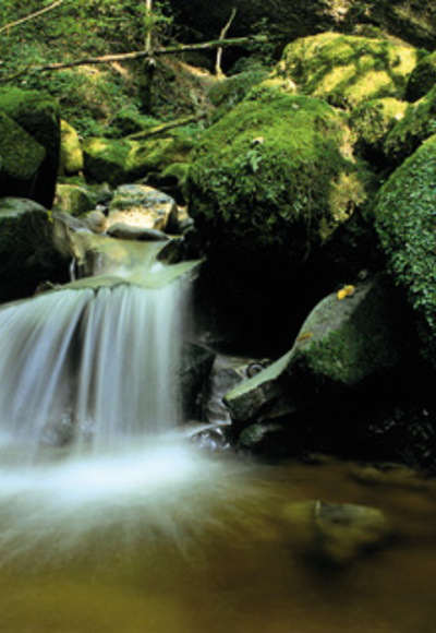src_99044019-0.jpg