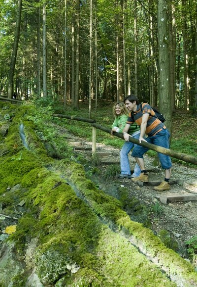 Steinerne Rinne in Wolfsbronn.
