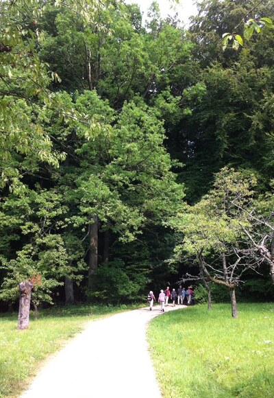 Wiesen und Wälder