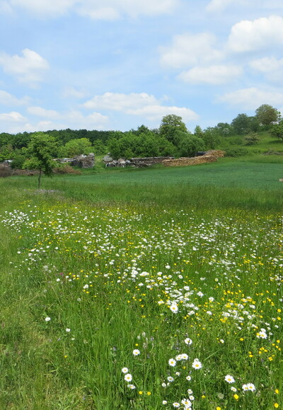 Radweg Rechts und links der Europäischen Wasserscheide