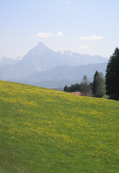 Zwischen Holz und Zell im Allgäu