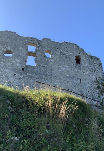 Burgruine Falkenstein