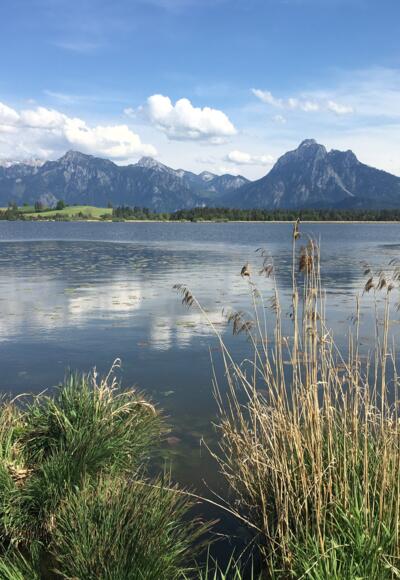 Hopfensee mit Säuling im Hintergrund