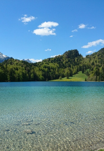 Alatsee