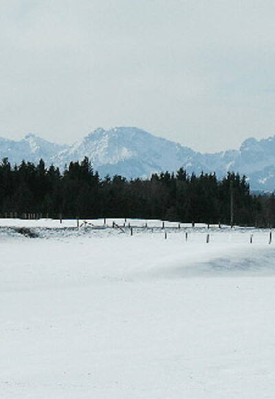 Beim Schmuttersee vor Falkenstein (rechts im Mittelgrund) Thannheimer Gebirge (im Hintergrund)