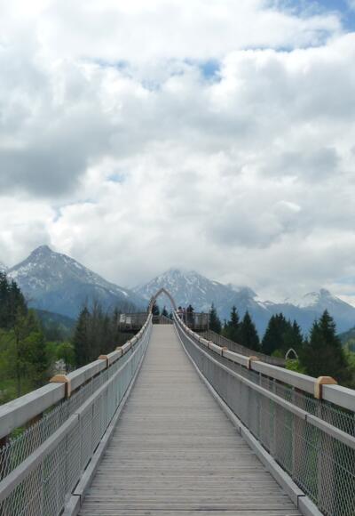 Der Baumkronenweg im Walderlebniszentrum Ziegelwies