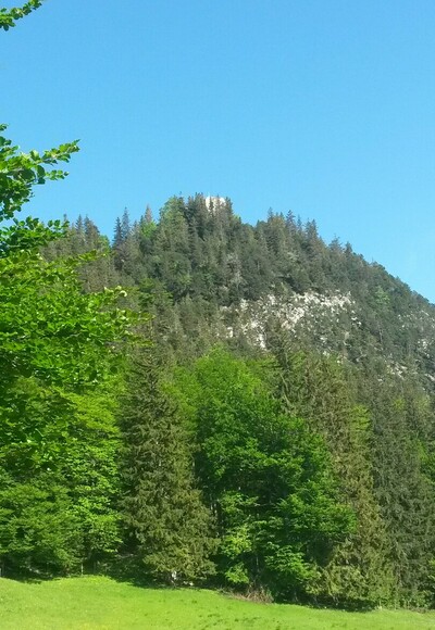 Burgruine Falkenstein