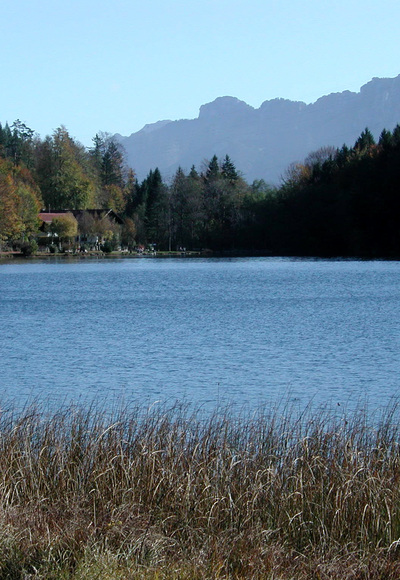 Alatsee