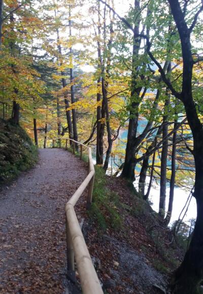 Alatsee-Rundweg