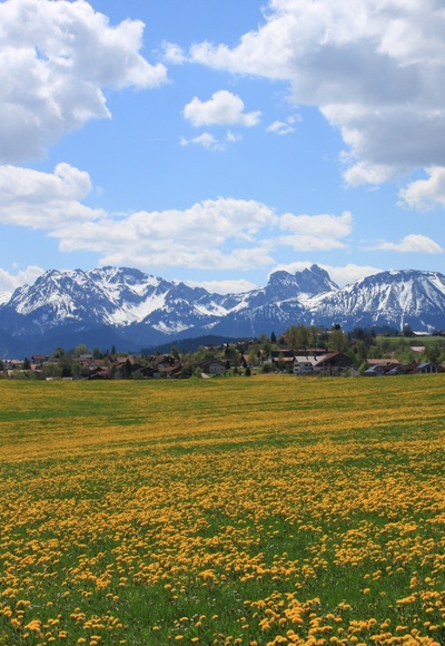 Blick über Seeg im Allgäu in die Berge