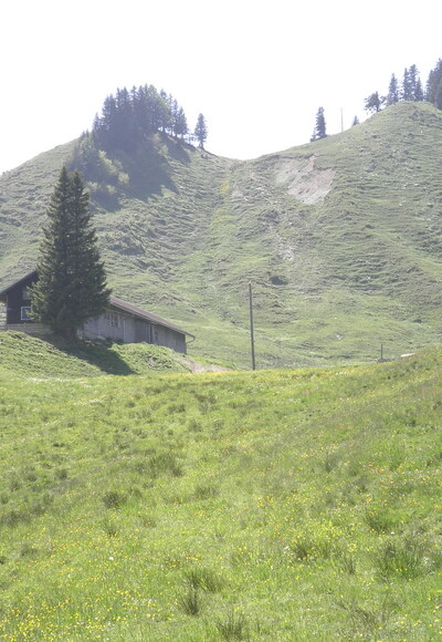 Alpspitzgipfel bei Nesselwang im Allgäu
