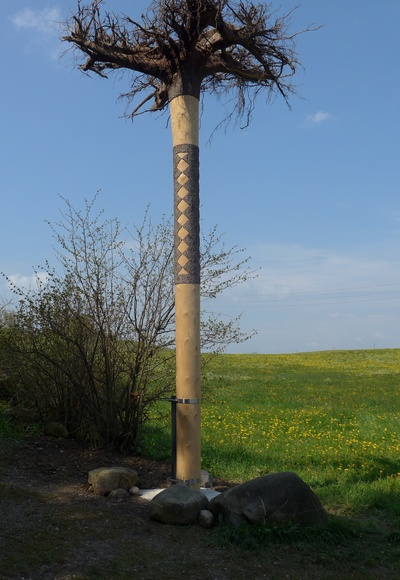 Unterwegs auf dem Reutwaldpfad