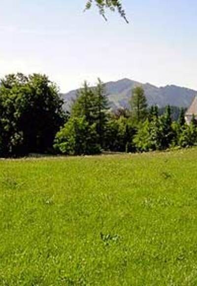 Wir walken an saftigen Wiesen entlang.