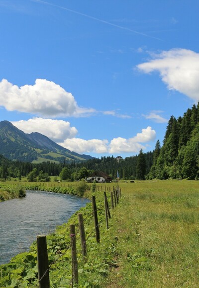 Kalbelehof Alpe im Vilstal