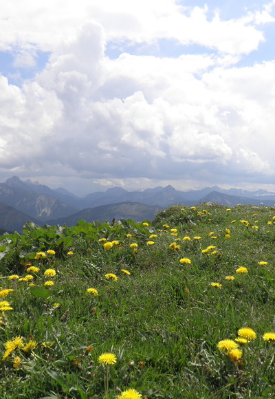 Blick von der Reuterwanne im Allgäu nach Süden