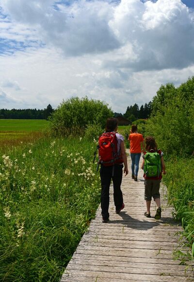 Wanderer auf dem Elbseesteg
