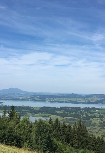 Blick vom Buchenberg auf den Forggensee