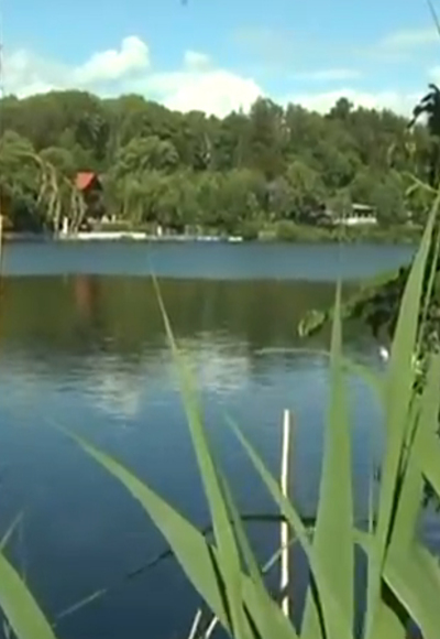 Walderlebnispfad am Buxheimer Weiher