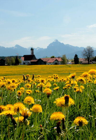 Der Blick auf Maria Hilf mit tollem Bergpanorama