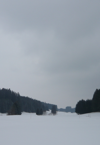 Am Wasenmoos; Blick Richtung Westen