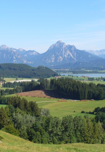 Aussicht vom Beichelstein Richtung Säuling