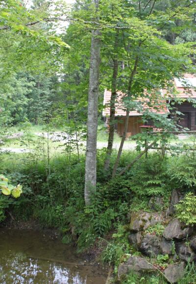 Blick auf das Waldhaus am Naturpfad Senkele