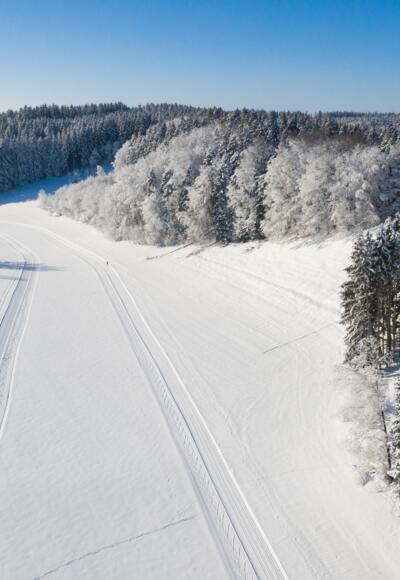 Loipenverlauf in Richtung Süden