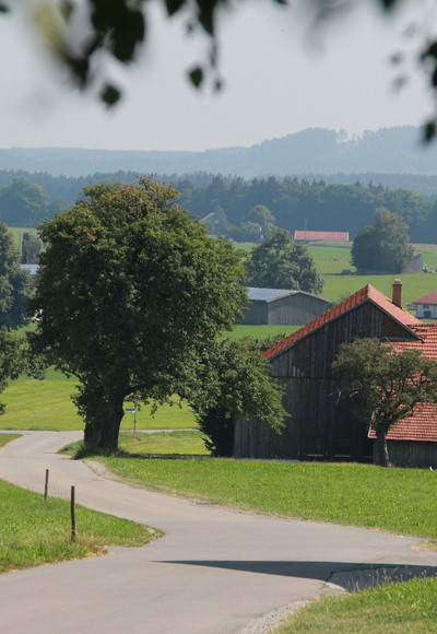 Bei Dilpertsried