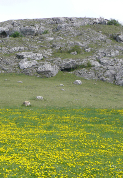 Riegelsberg mit Ofnethöhlen
